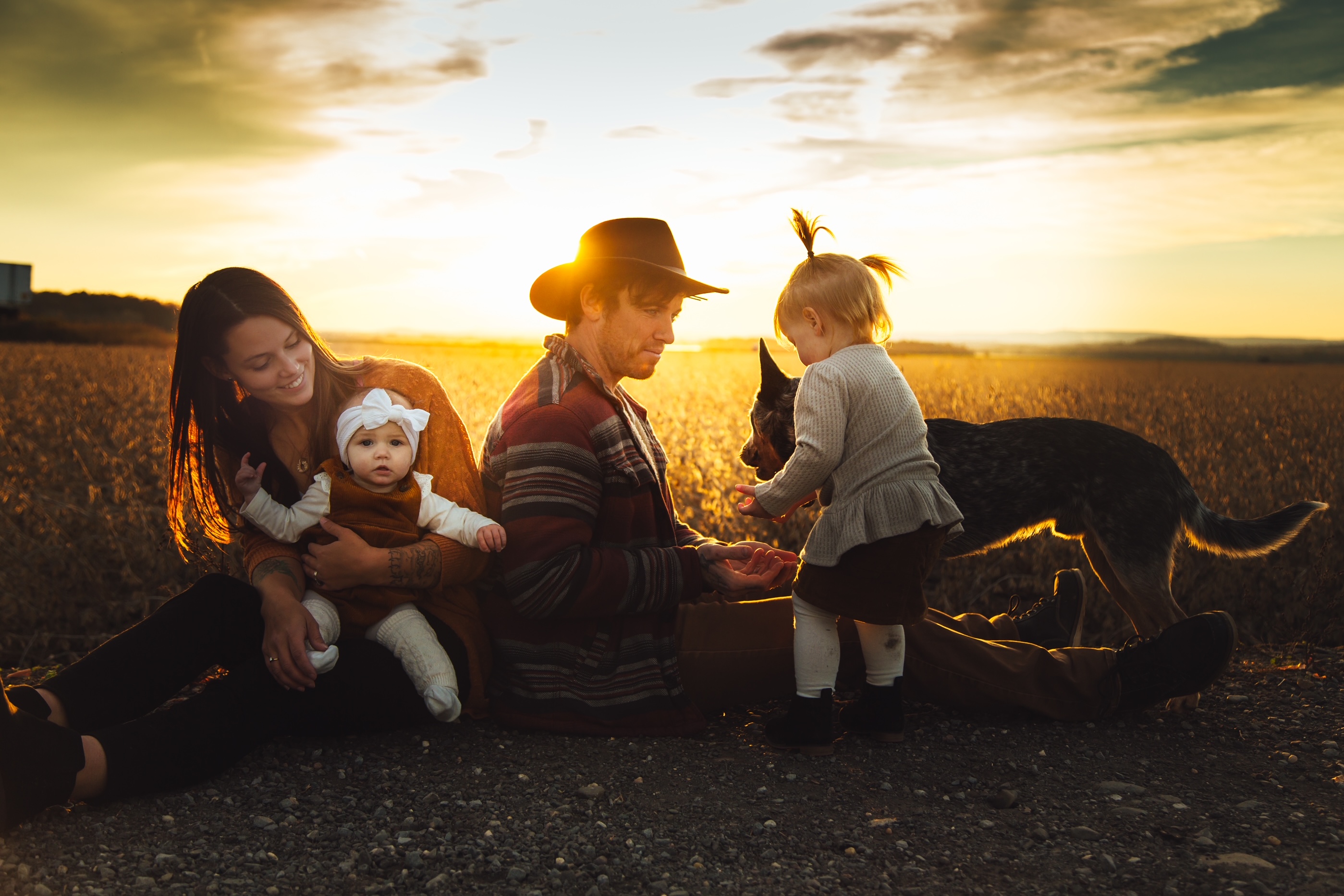 Dogs at Handsome Jack's